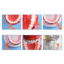 Brosse interproximale avec cure-dent x8 pièces - CoralClean - Safe Implant