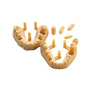 Résine d’impression 3D dentaire – DENTAL MODEL HP - ArmaResin - Résine polymère pour impression 3D - Safe Implant