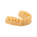 Résine d’impression 3D dentaire – DENTAL MODEL HP - ArmaResin - Résine polymère pour impression 3D - Safe Implant