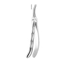 Davier fin pour racines supérieures - Safe Implant
