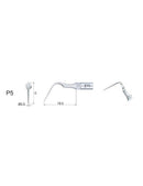 Insert P5 compatible EMS  ultrarésistant UR - WOODPECKER - Safe Implant