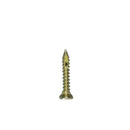 Vis d'ostéosynthèse diamètre 1,6mm pour les longueur 4 ,6 ,8 ,10, 13 mm